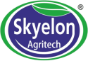 skylon-logo 1